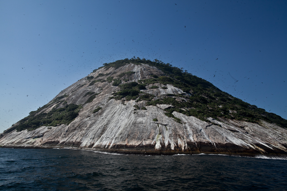 Projeto Ilhas Do RIO Ilha Cagarras